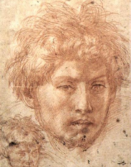 Andrea del Sarto Head of a Young Man china oil painting image